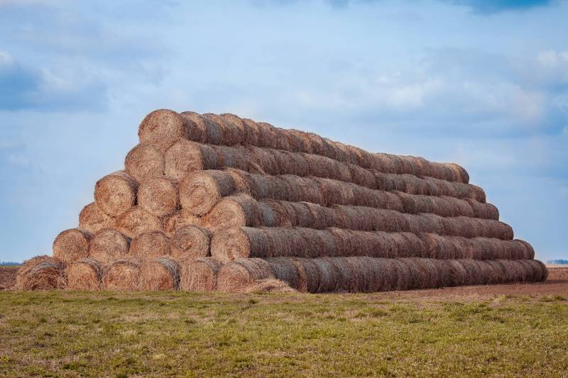 Large stack of haybales against the blue sky